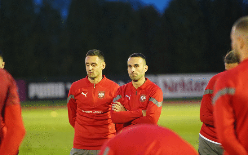 Milan Gajić