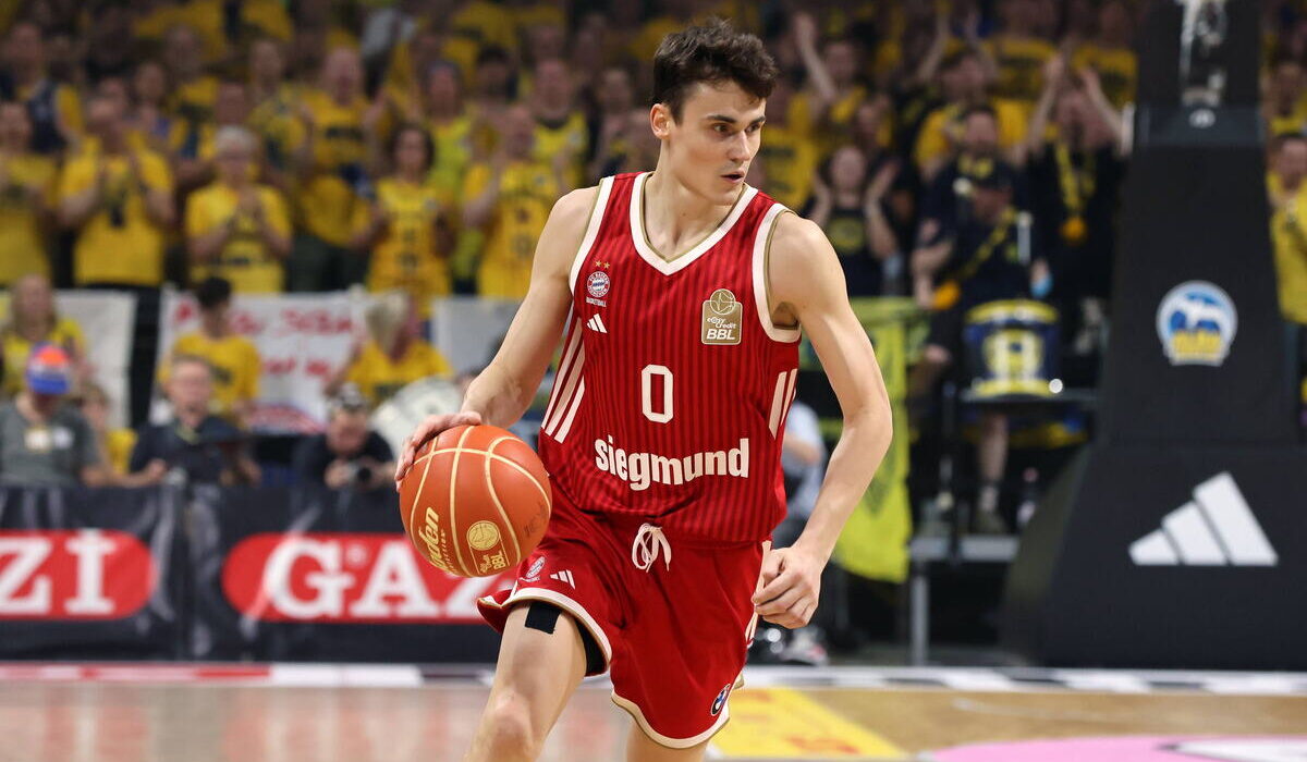 Nenad Dimitrijević