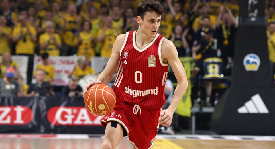 Nenad Dimitrijević