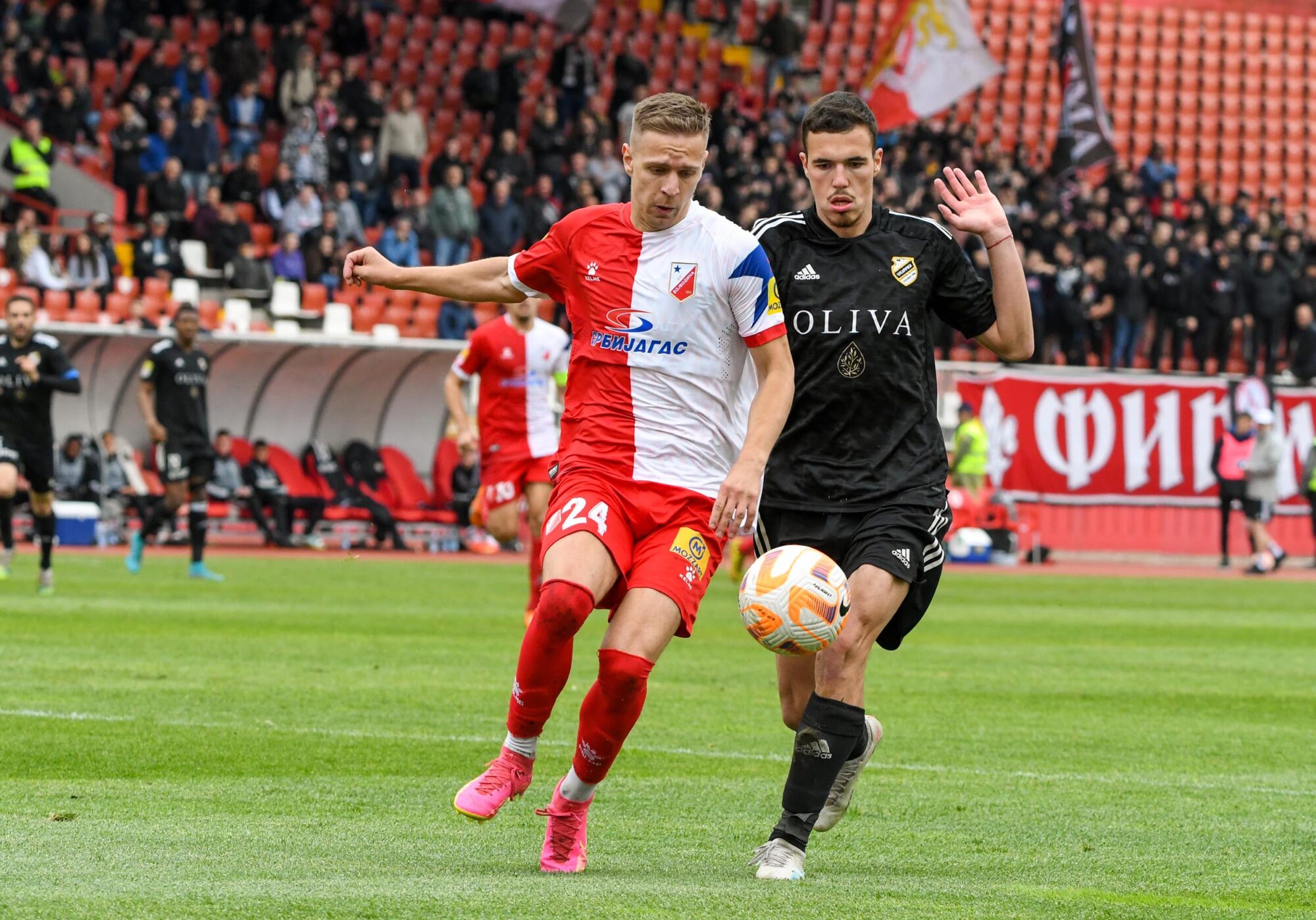 Nikola Čumić